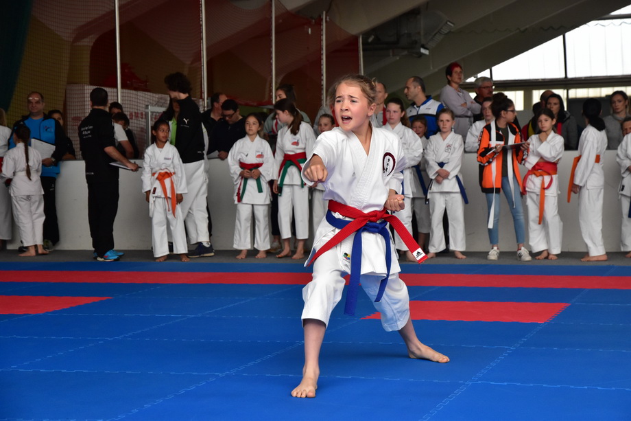 2017-05-20_Shotokan-OEM_1019.jpg