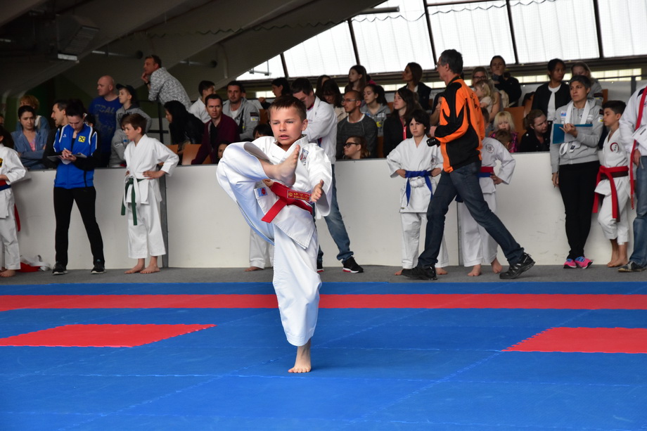 2017-05-20_Shotokan-OEM_1022.jpg