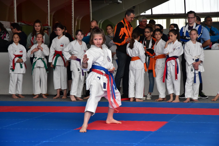 2017-05-20_Shotokan-OEM_1025.jpg