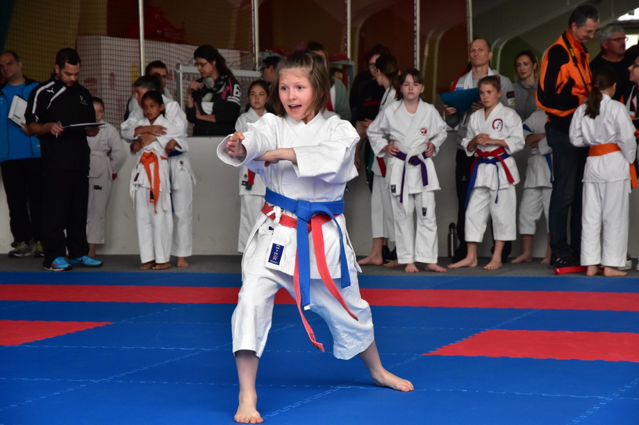 2017-05-20_Shotokan-OEM_1026.jpg