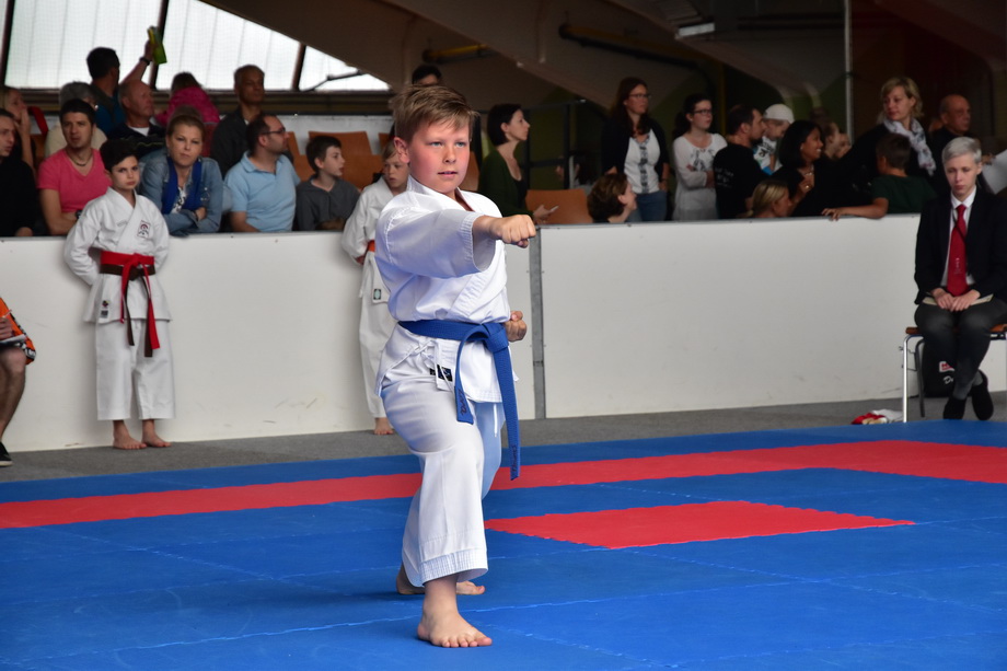 2017-05-20_Shotokan-OEM_1030.jpg