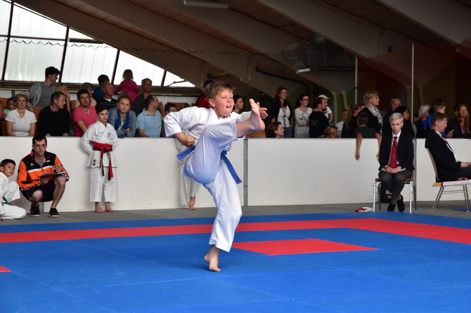 2017-05-20_Shotokan-OEM_1031.jpg