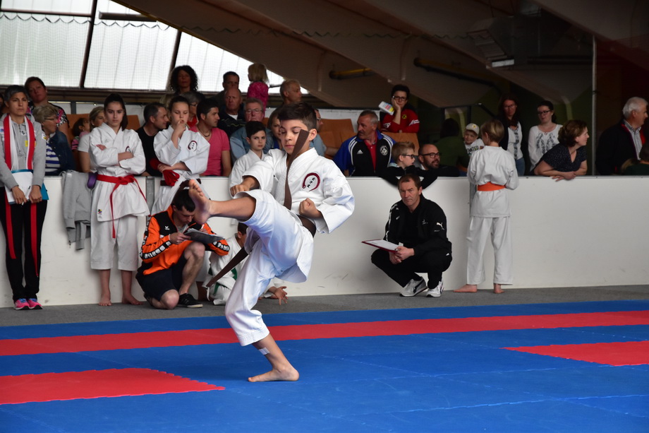 2017-05-20_Shotokan-OEM_1039.jpg