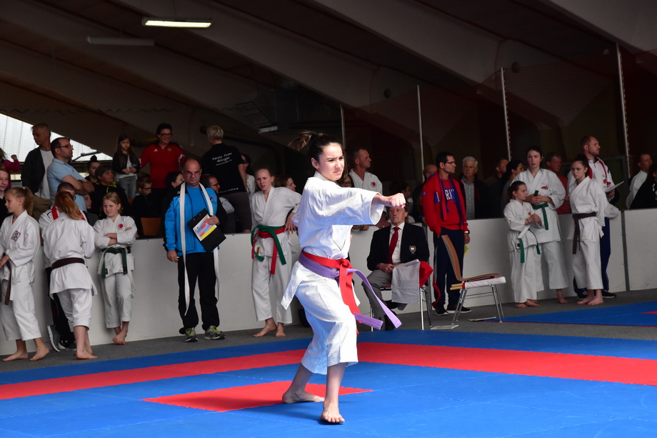 2017-05-20_Shotokan-OEM_1048.jpg