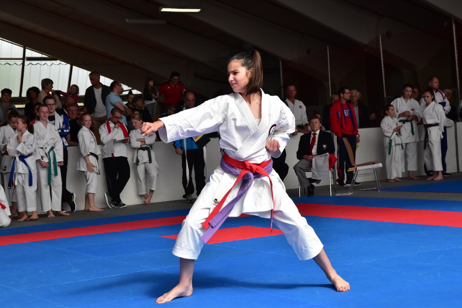 2017-05-20_Shotokan-OEM_1050.jpg