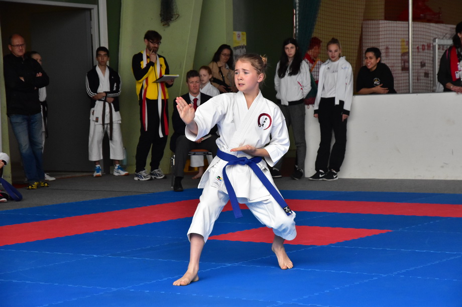 2017-05-20_Shotokan-OEM_1052.jpg