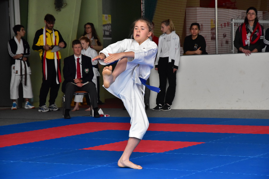 2017-05-20_Shotokan-OEM_1054.jpg