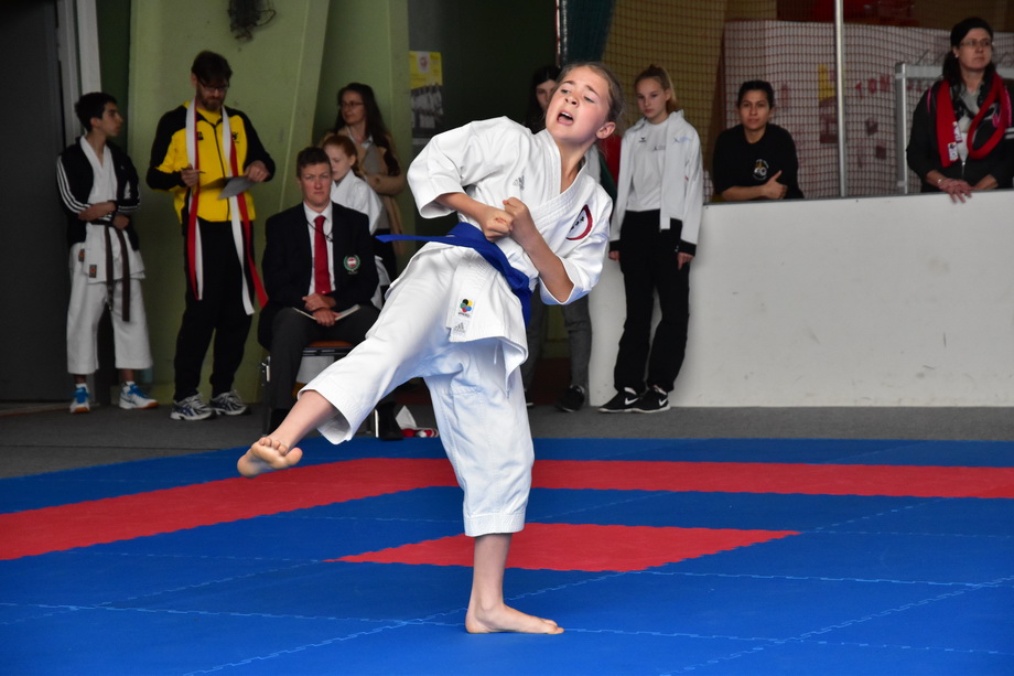 2017-05-20_Shotokan-OEM_1055.jpg