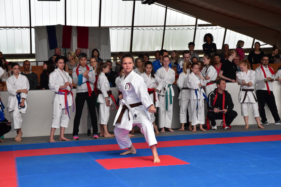 2017-05-20_Shotokan-OEM_1058.jpg