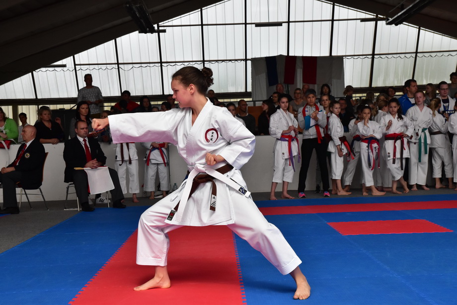 2017-05-20_Shotokan-OEM_1060.jpg