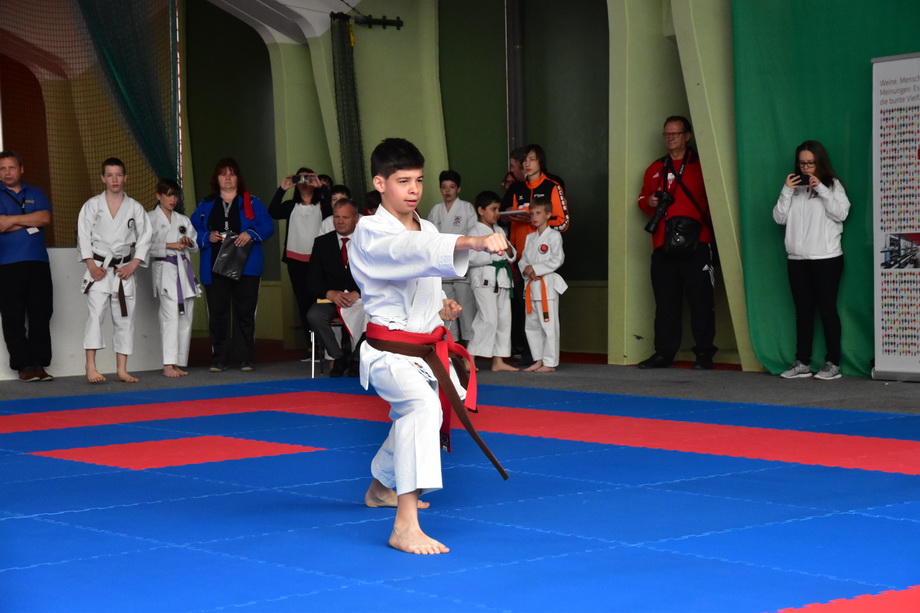2017-05-20_Shotokan-OEM_1062.jpg