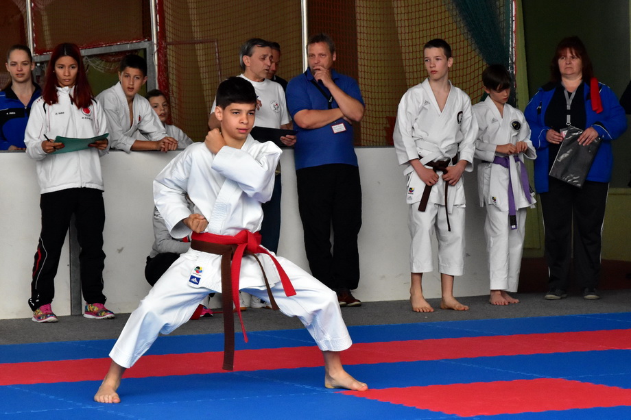 2017-05-20_Shotokan-OEM_1063.jpg