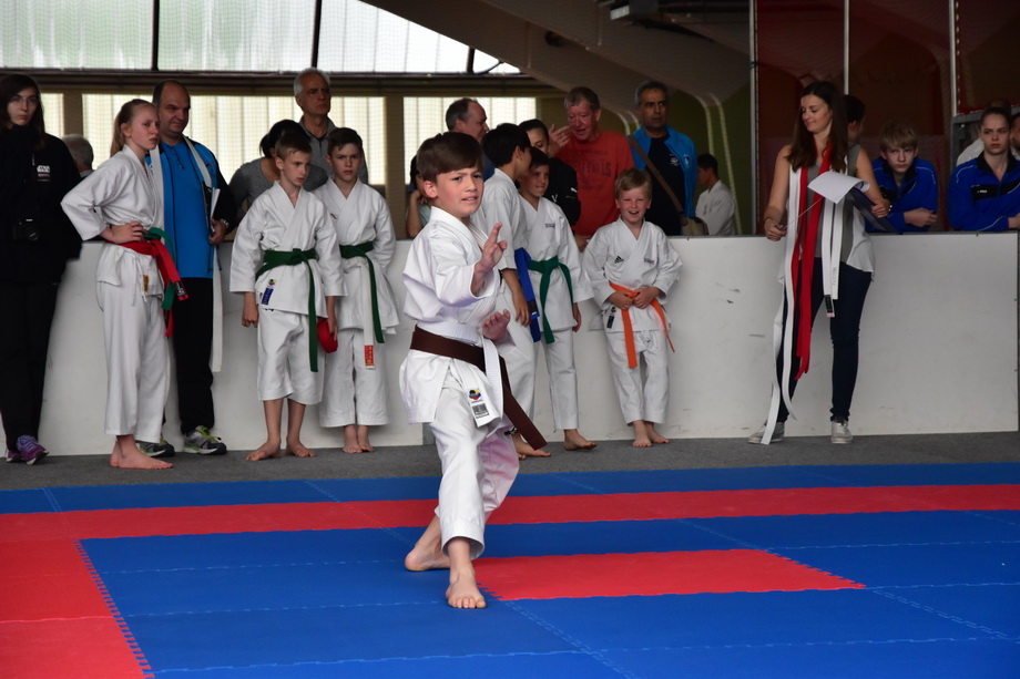 2017-05-20_Shotokan-OEM_1064.jpg