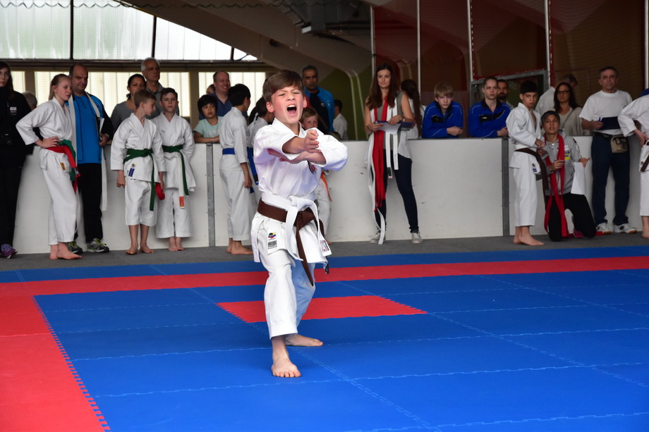 2017-05-20_Shotokan-OEM_1065.jpg