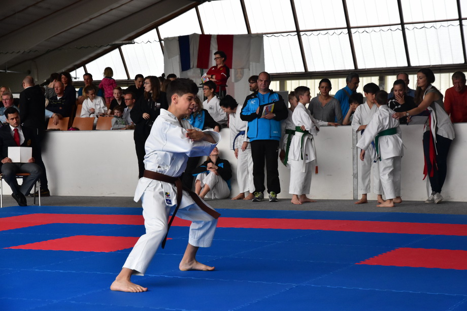 2017-05-20_Shotokan-OEM_1071.jpg