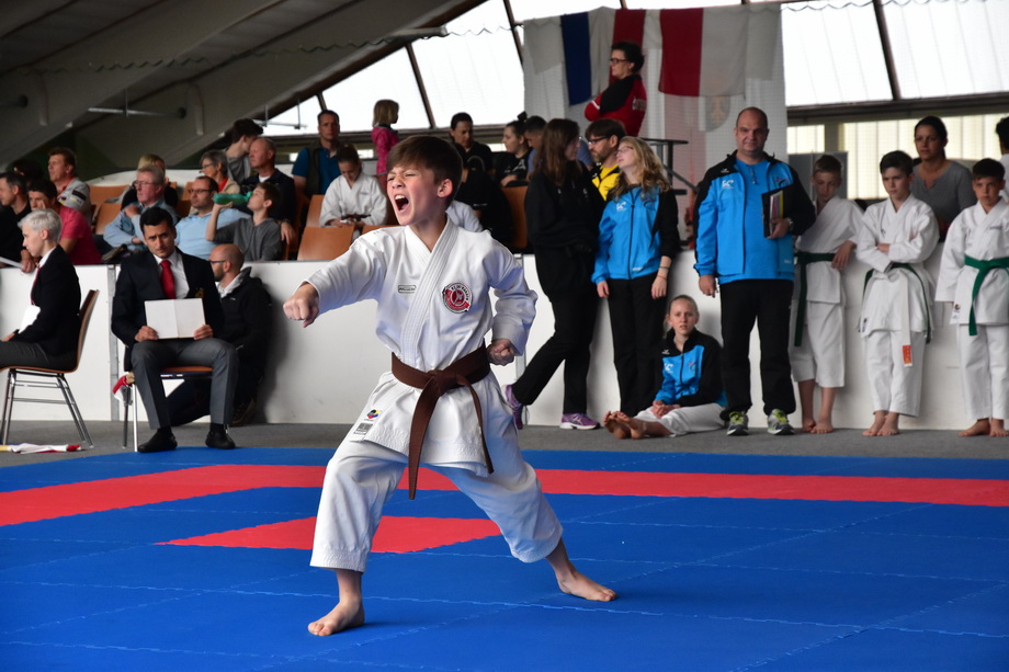 2017-05-20_Shotokan-OEM_1075.jpg