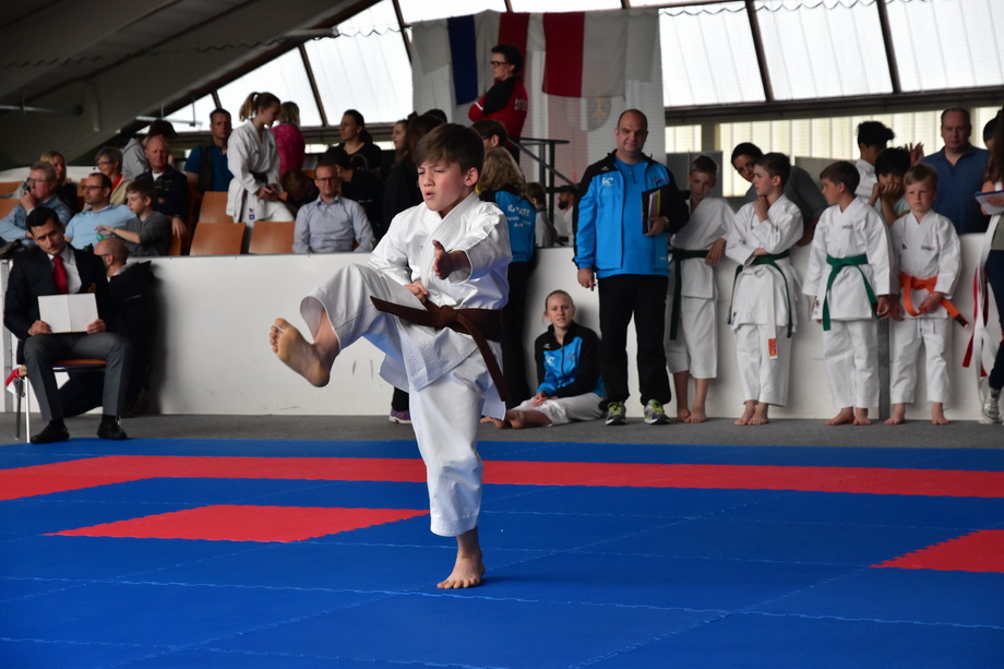 2017-05-20_Shotokan-OEM_1076.jpg