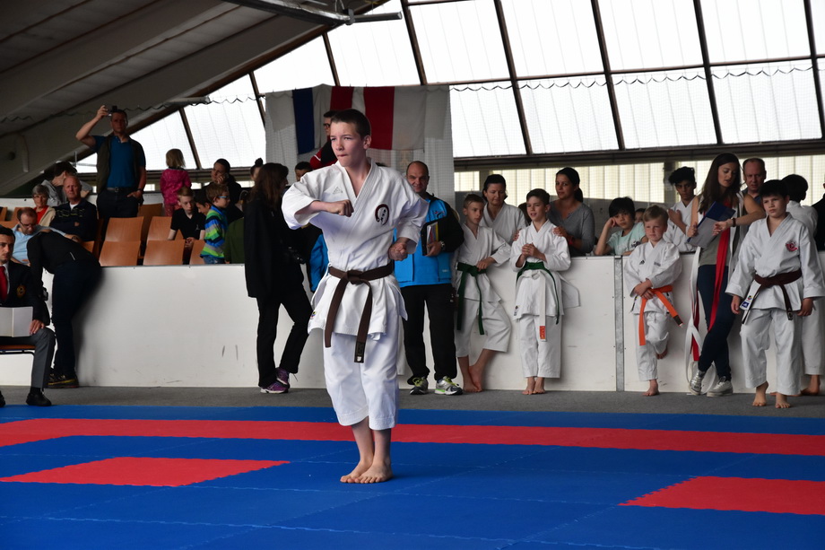 2017-05-20_Shotokan-OEM_1078.jpg