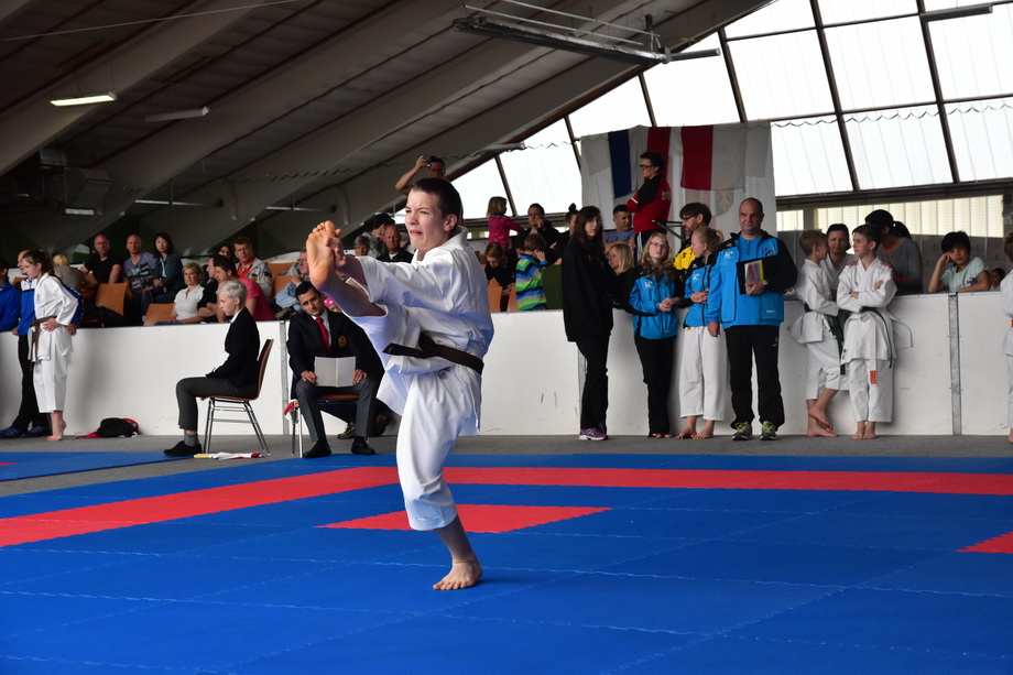 2017-05-20_Shotokan-OEM_1081.jpg
