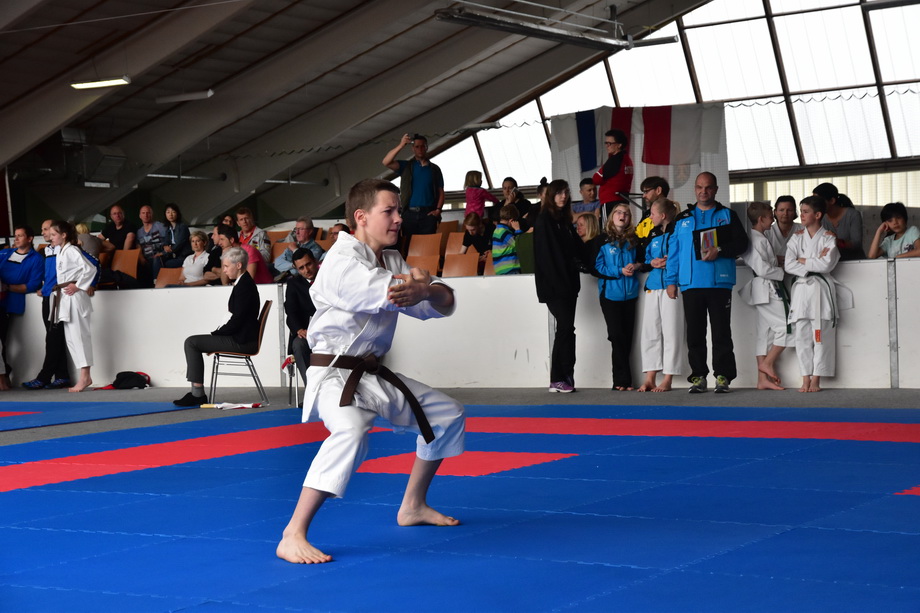 2017-05-20_Shotokan-OEM_1082.jpg