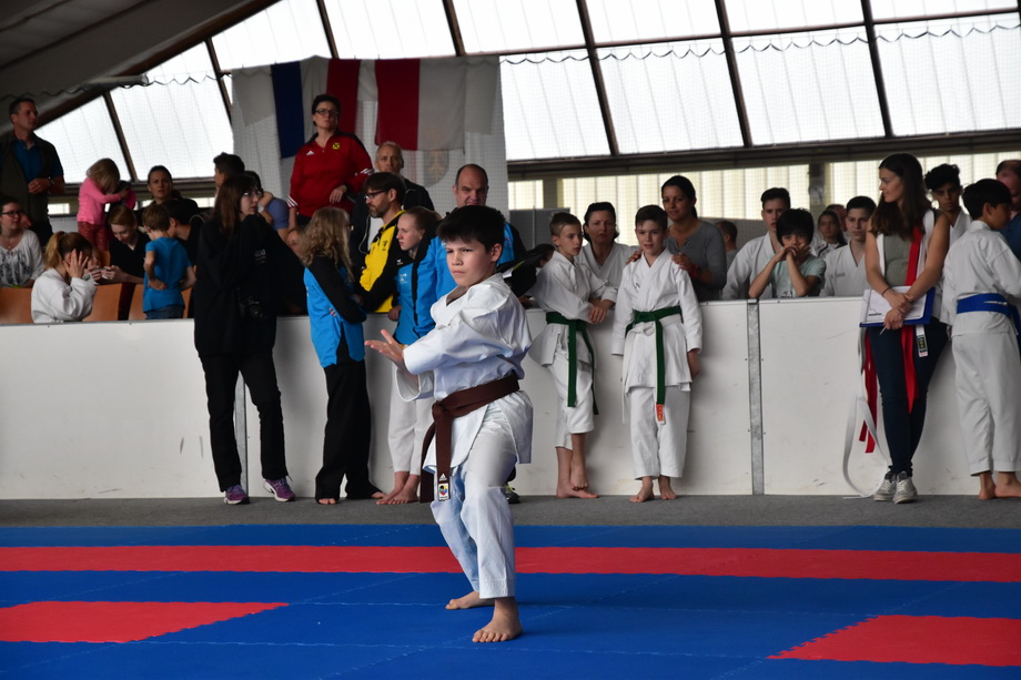 2017-05-20_Shotokan-OEM_1087.jpg