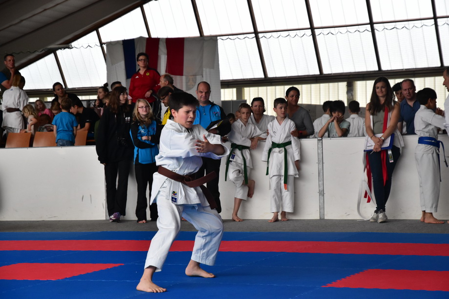 2017-05-20_Shotokan-OEM_1090.jpg