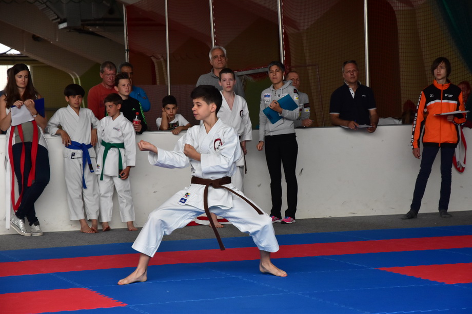 2017-05-20_Shotokan-OEM_1092.jpg