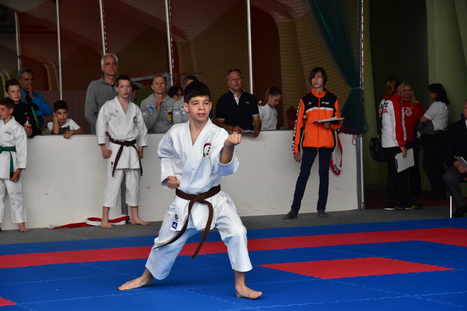 2017-05-20_Shotokan-OEM_1093.jpg