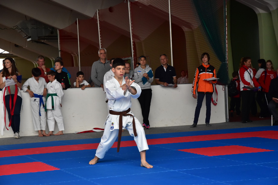 2017-05-20_Shotokan-OEM_1097.jpg