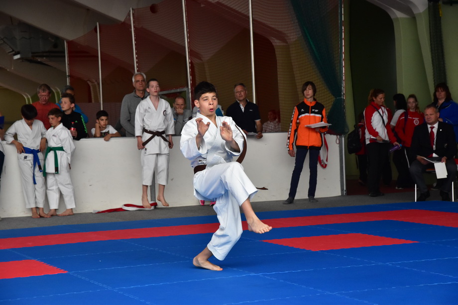 2017-05-20_Shotokan-OEM_1098.jpg