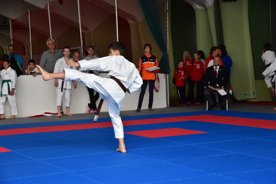2017-05-20_Shotokan-OEM_1100.jpg