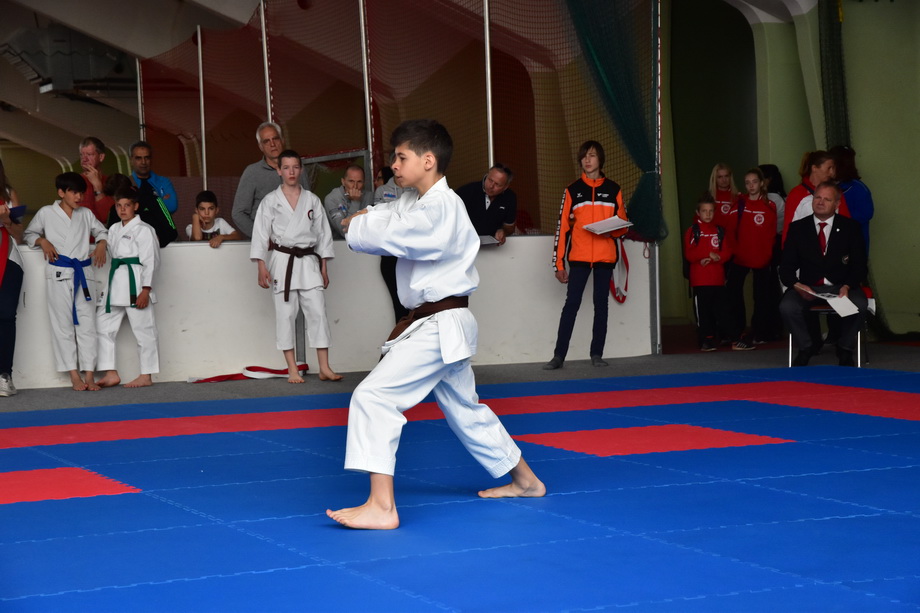 2017-05-20_Shotokan-OEM_1101.jpg
