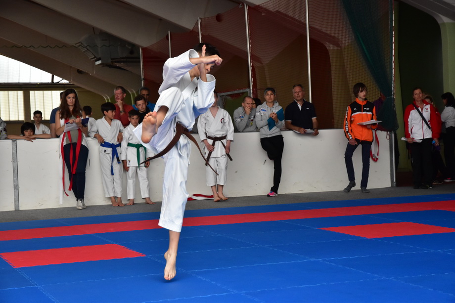 2017-05-20_Shotokan-OEM_1105.jpg