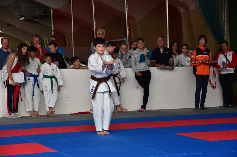 2017-05-20_Shotokan-OEM_1108.jpg
