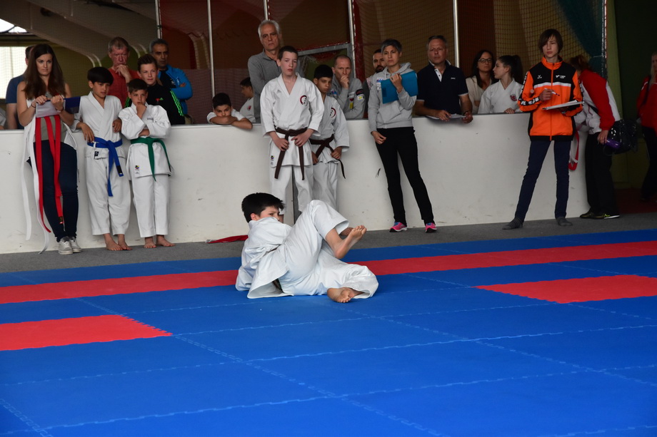 2017-05-20_Shotokan-OEM_1110.jpg