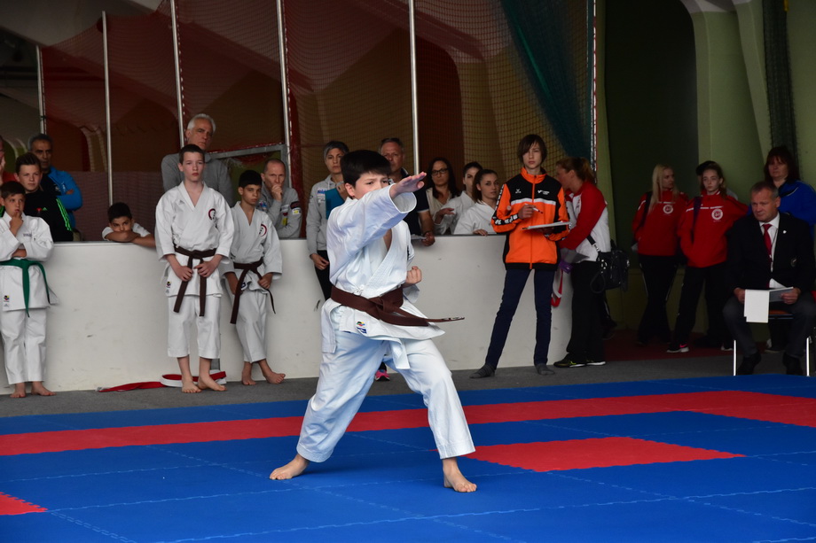 2017-05-20_Shotokan-OEM_1112.jpg