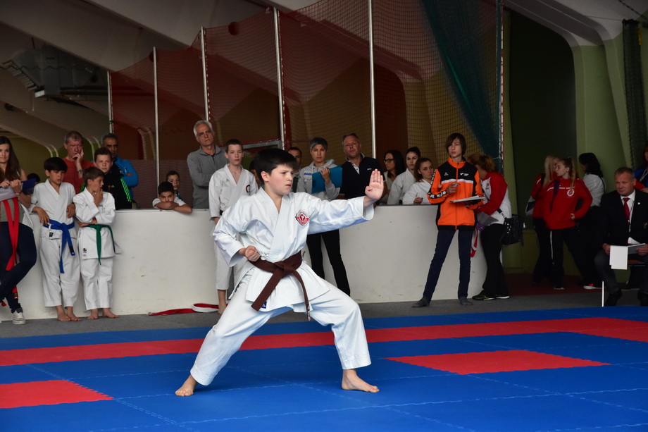 2017-05-20_Shotokan-OEM_1114.jpg