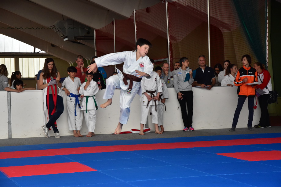2017-05-20_Shotokan-OEM_1115.jpg