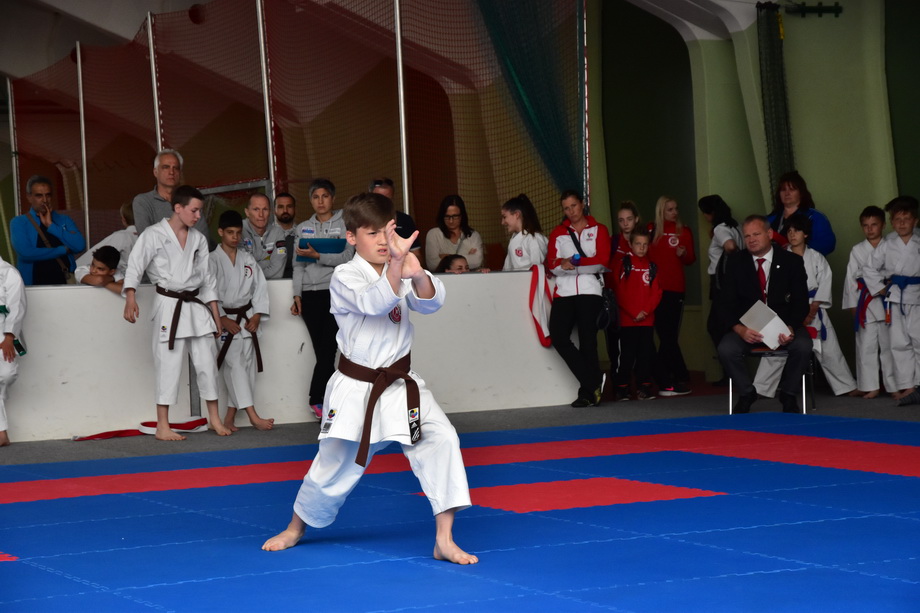 2017-05-20_Shotokan-OEM_1119.jpg