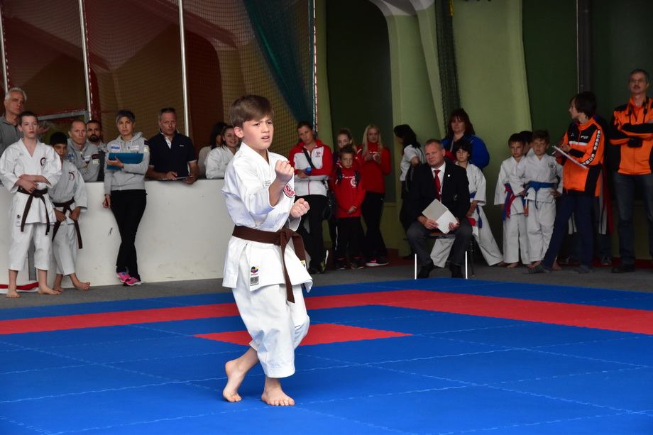 2017-05-20_Shotokan-OEM_1120.jpg