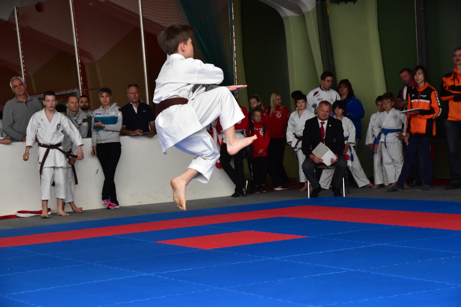 2017-05-20_Shotokan-OEM_1121.jpg
