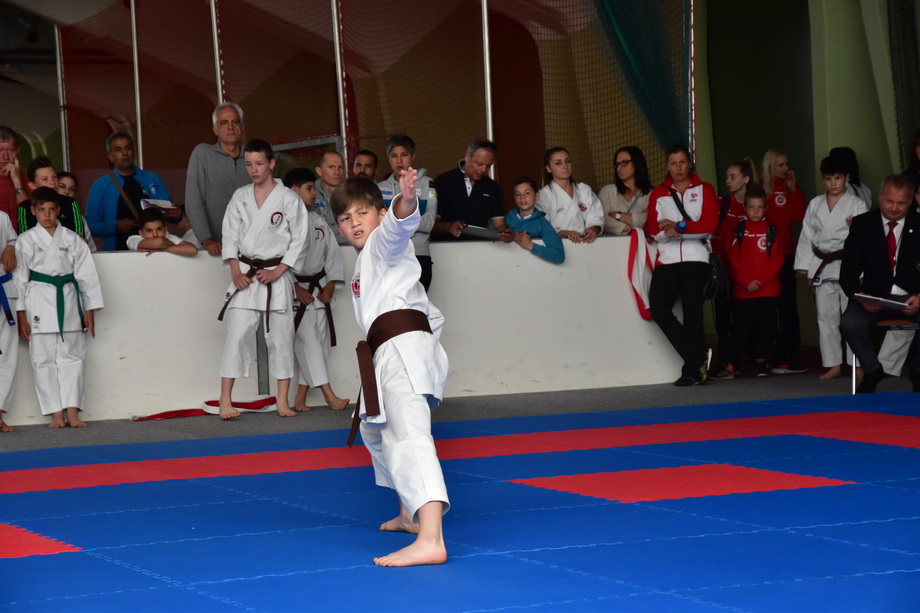 2017-05-20_Shotokan-OEM_1125.jpg