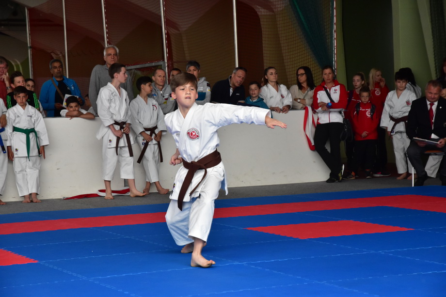 2017-05-20_Shotokan-OEM_1126.jpg