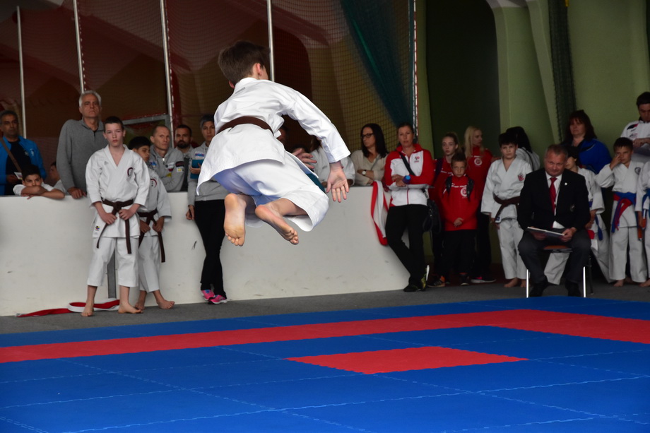 2017-05-20_Shotokan-OEM_1129.jpg