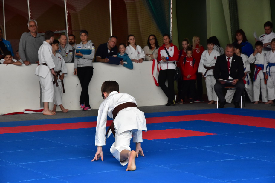 2017-05-20_Shotokan-OEM_1130.jpg