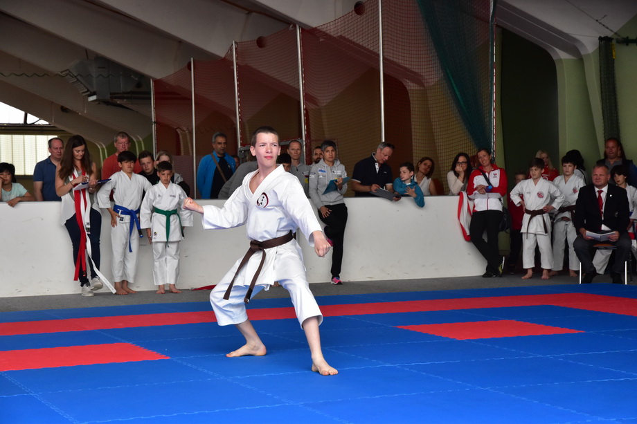 2017-05-20_Shotokan-OEM_1131.jpg