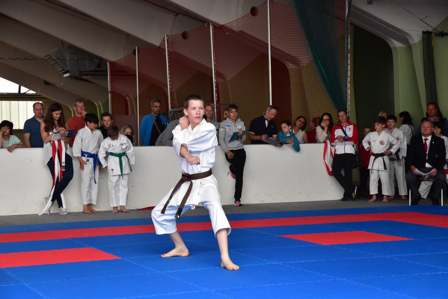 2017-05-20_Shotokan-OEM_1132.jpg