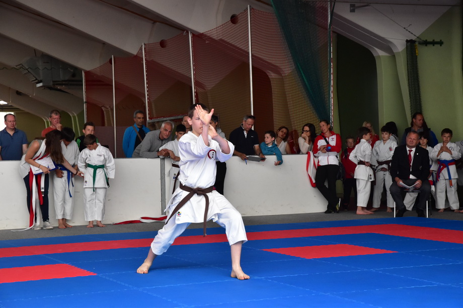 2017-05-20_Shotokan-OEM_1133.jpg