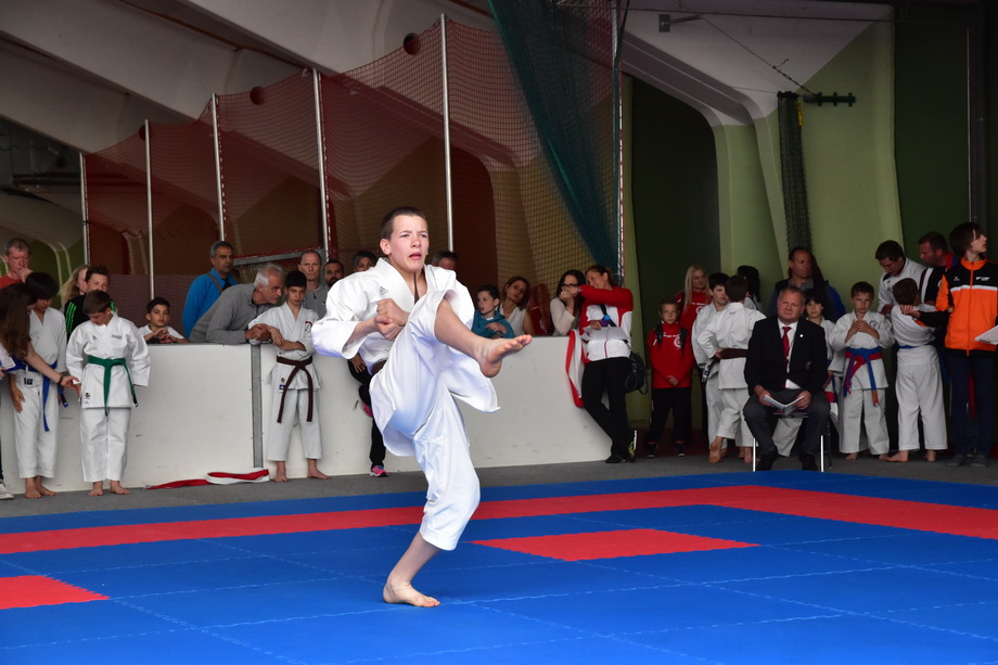 2017-05-20_Shotokan-OEM_1134.jpg