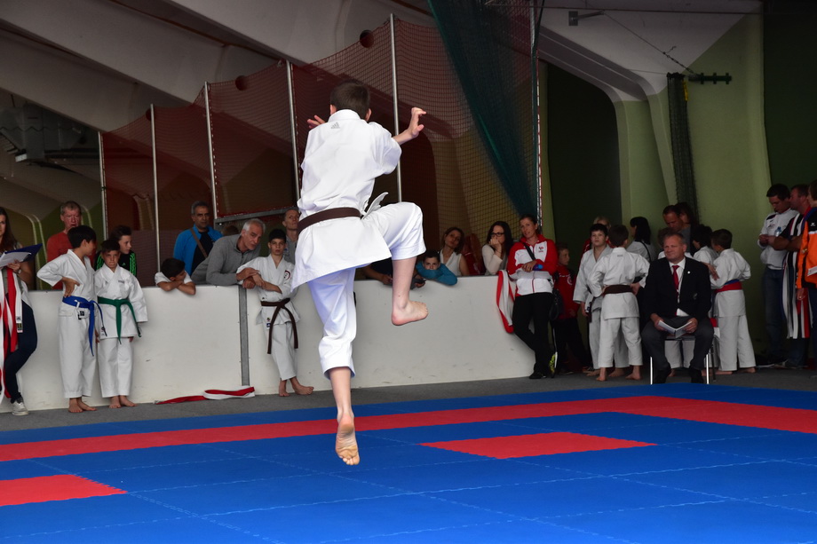 2017-05-20_Shotokan-OEM_1135.jpg